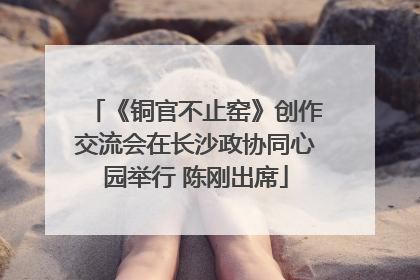 《铜官不止窑》创作交流会在长沙政协同心园举行 陈刚出席