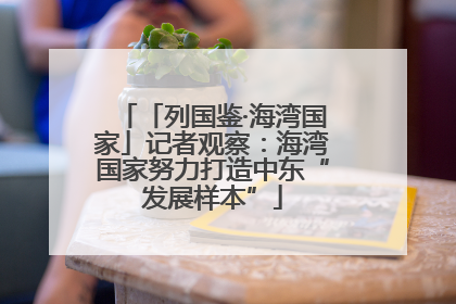 「列国鉴·海湾国家」记者观察：海湾国家努力打造中东“发展样本”