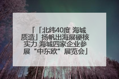 「北纬40度 海城质造」扬帆出海展硬核实力 海城四家企业参展“中东欧”展览会