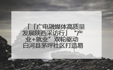 「广电融媒体高质量发展陕西采访行」“产业+就业”双轮驱动 白河县茅坪社区打造易地搬迁后扶新样本
