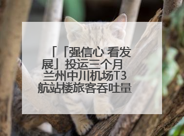 「强信心 看发展」投运三个月 兰州中川机场T3航站楼旅客吞吐量超434万人次