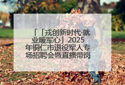 「戎创新时代·就业暖军心」2025年铜仁市退役军人专场招聘会暨直播带岗活动顺利举行