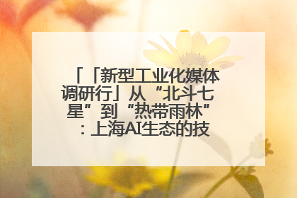 「新型工业化媒体调研行」从“北斗七星”到“热带雨林”：上海AI生态的技术商业共生密码