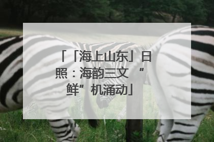 「海上山东」日照：海韵三文 “鲜”机涌动