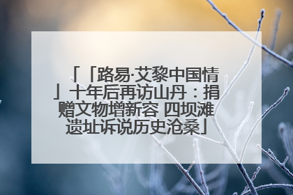 「路易·艾黎中国情」十年后再访山丹：捐赠文物增新容 四坝滩遗址诉说历史沧桑