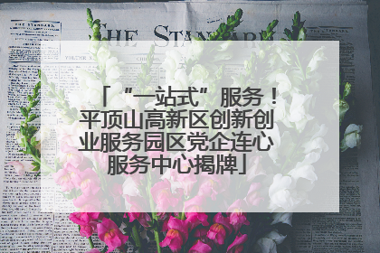 “一站式”服务！平顶山高新区创新创业服务园区党企连心服务中心揭牌