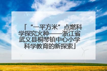 “一平方米”点燃科学探究火种——浙江省武义县桐琴镇中心小学科学教育的新探索