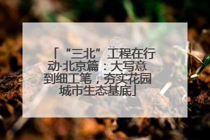 “三北”工程在行动·北京篇：大写意到细工笔，夯实花园城市生态基底