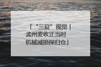 “三夏”视觉｜孟州麦收正当时 机械减损保归仓
