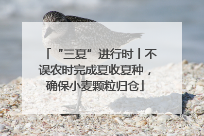 “三夏”进行时丨不误农时完成夏收夏种，确保小麦颗粒归仓
