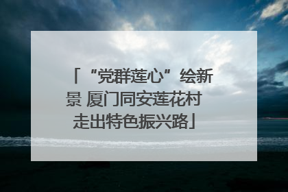 “党群莲心”绘新景 厦门同安莲花村走出特色振兴路