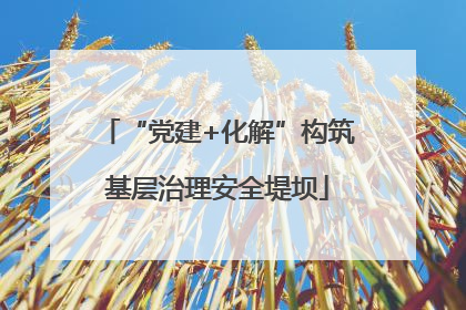 “党建+化解”构筑基层治理安全堤坝