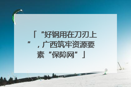 “好钢用在刀刃上”，广西筑牢资源要素“保障网”