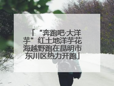 “奔跑吧·大洋芋”红土地洋芋花海越野跑在昆明市东川区热力开跑