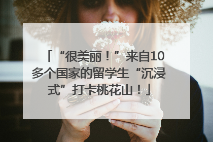 “很美丽！”来自10多个国家的留学生“沉浸式”打卡桃花山！