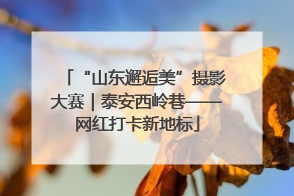 “山东邂逅美”摄影大赛｜泰安西岭巷——网红打卡新地标
