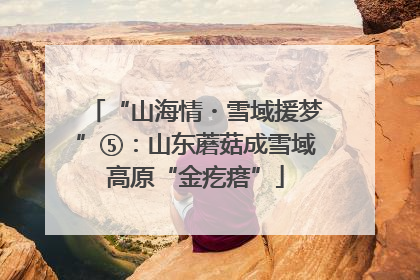 “山海情・雪域援梦”⑤：山东蘑菇成雪域高原“金疙瘩”