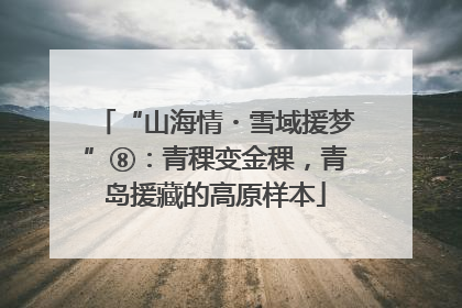 “山海情・雪域援梦”⑧：青稞变金稞，青岛援藏的高原样本