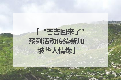 “峇峇回来了”系列活动传续新加坡华人情缘