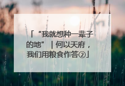 “我就想种一辈子的地”｜何以天府，我们用粮食作答②