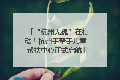 “杭州无孤”在行动！杭州手牵手儿童帮扶中心正式启航