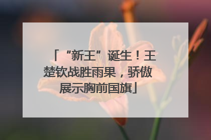 “新王”诞生！王楚钦战胜雨果，骄傲展示胸前国旗