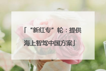 “新红专”轮：提供海上智驾中国方案