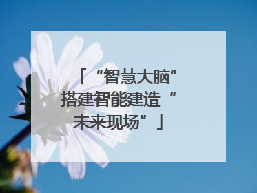 “智慧大脑”搭建智能建造“未来现场”