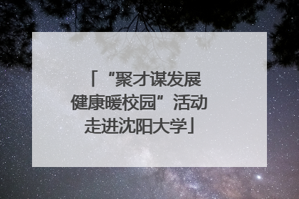 “聚才谋发展 健康暖校园”活动走进沈阳大学