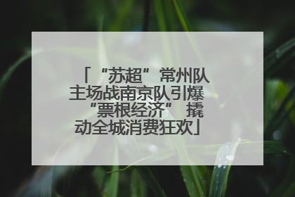 “苏超”常州队主场战南京队引爆“票根经济” 撬动全城消费狂欢