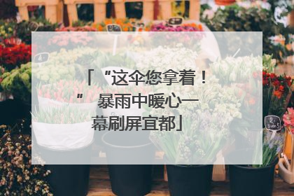 “这伞您拿着！” 暴雨中暖心一幕刷屏宜都