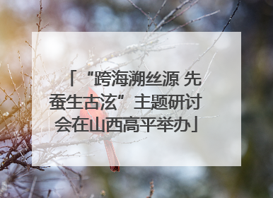 “跨海溯丝源 先蚕生古泫”主题研讨会在山西高平举办