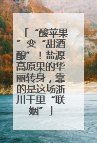 “酸苹果”变“甜酒酿”！盐源高原果的华丽转身，靠的是这场浙川千里“联姻”
