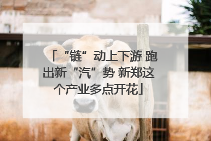 “链”动上下游 跑出新“汽”势 新郑这个产业多点开花
