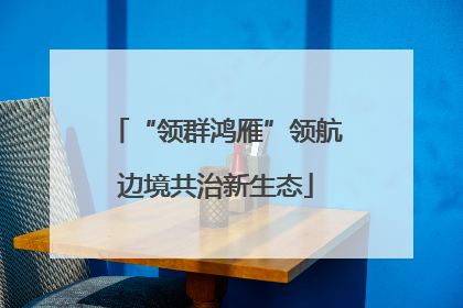 “领群鸿雁”领航边境共治新生态
