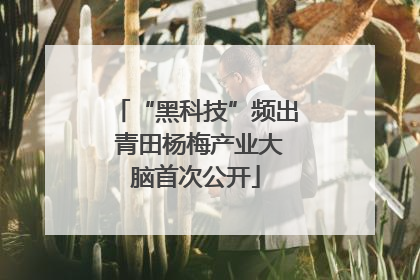 “黑科技”频出 青田杨梅产业大脑首次公开