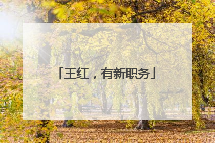 王红，有新职务