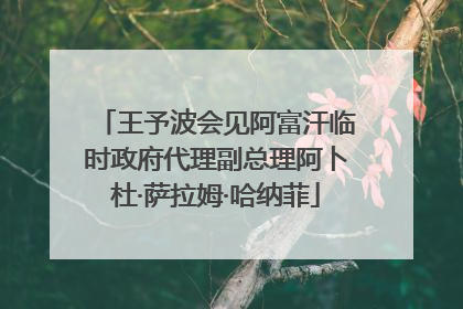 王予波会见阿富汗临时政府代理副总理阿卜杜·萨拉姆·哈纳菲