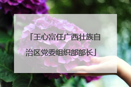 王心富任广西壮族自治区党委组织部部长