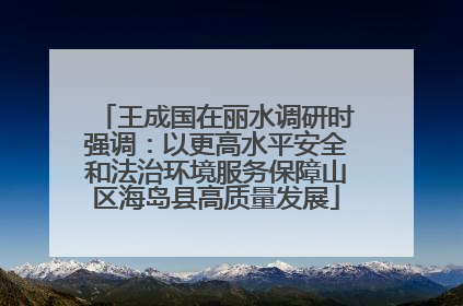 王成国在丽水调研时强调：以更高水平安全和法治环境服务保障山区海岛县高质量发展