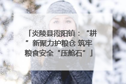 炎陵县霞阳镇：“耕”新聚力护粮仓 筑牢粮食安全“压舱石”