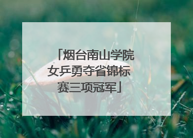 烟台南山学院女乒勇夺省锦标赛三项冠军