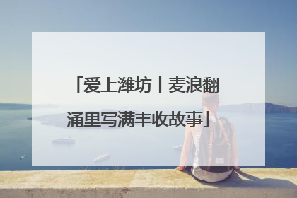 爱上潍坊丨麦浪翻涌里写满丰收故事