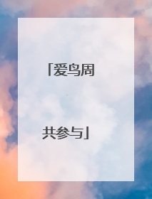 爱鸟周 共参与