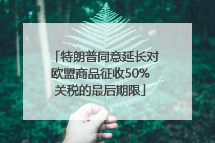 特朗普同意延长对欧盟商品征收50%关税的最后期限