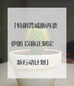 特朗普威胁再袭伊朗 以称正制定新行动计划
