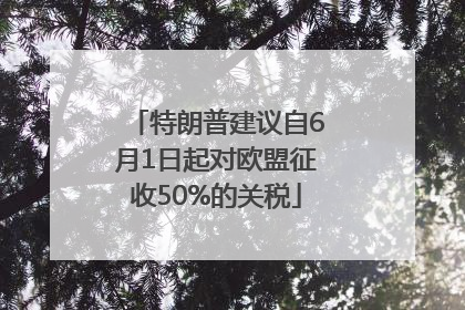 特朗普建议自6月1日起对欧盟征收50%的关税