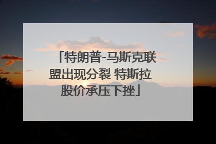 特朗普-马斯克联盟出现分裂 特斯拉股价承压下挫