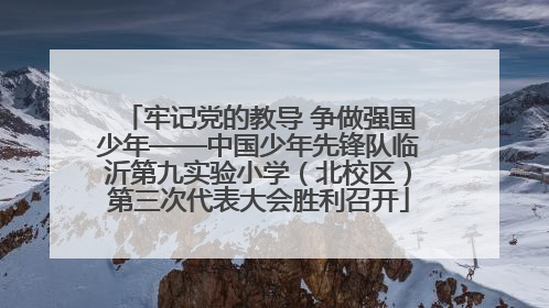牢记党的教导 争做强国少年——中国少年先锋队临沂第九实验小学（北校区）第三次代表大会胜利召开