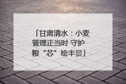 甘肃清水：小麦管理正当时 守护粮“芯”绘丰景